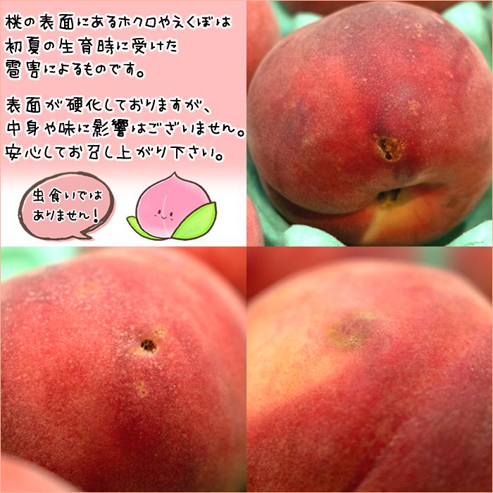 【8月上旬から順次出荷予定】山形県産 ご家庭用 もも 白桃 2kg(無袋栽培/玉数おまかせ)※日時指定はメールで※｜ultra-taste｜07