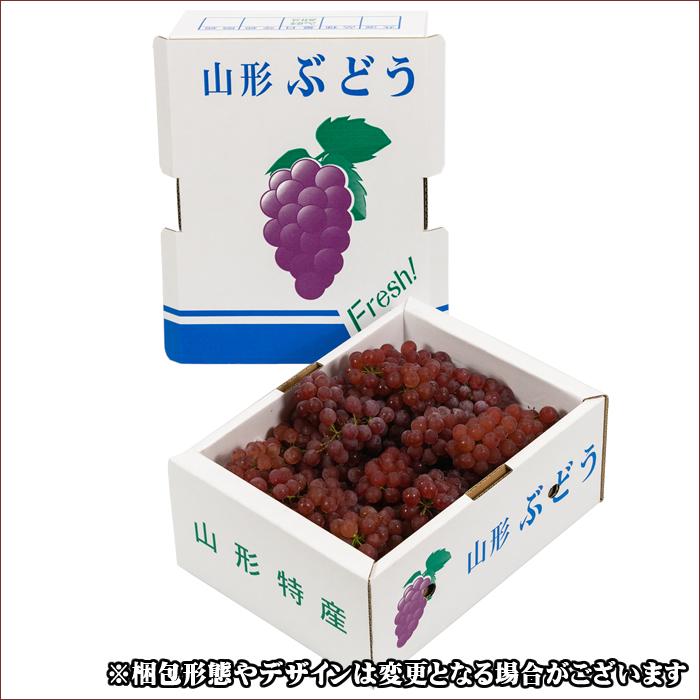 即日発送実施中！】山形県産 ぶどう デラウェア 2kg(秀品/8〜16