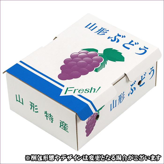 【7月中旬から順次出荷予定】山形県産 ぶどう デラウェア 2kg(秀品/8〜16房)※日時指定はメールで※｜ultra-taste｜03