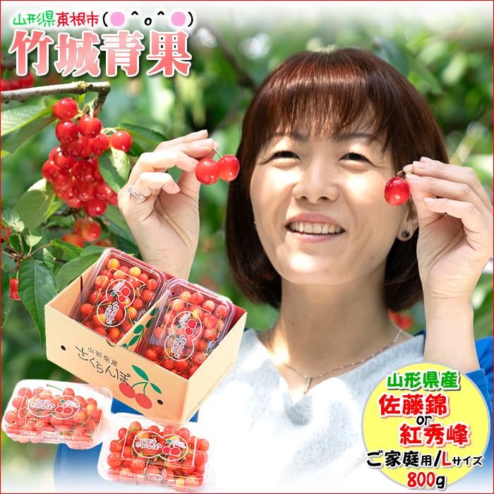 □クール便出荷【即日発送実施中！】山形県産 ご家庭用 さくらんぼ