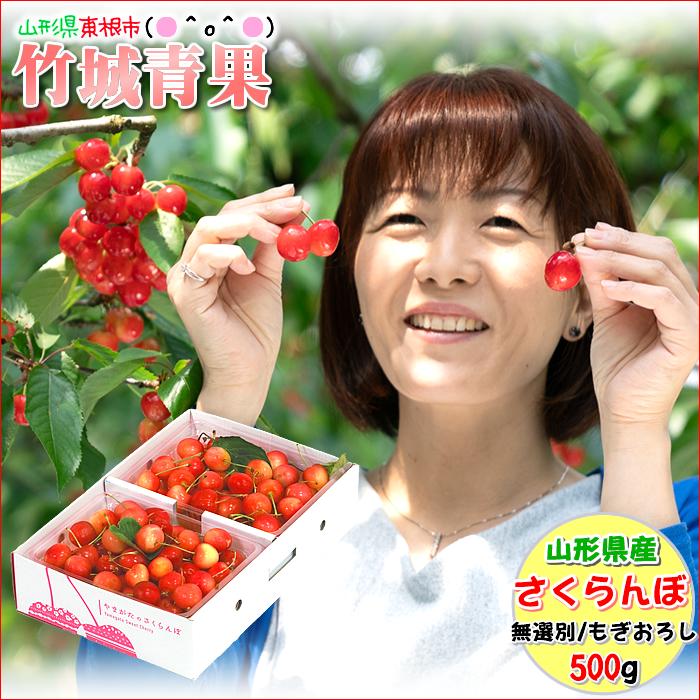 □クール便出荷【即日発送実施中！】山形県産 ご家庭用 もぎおろし