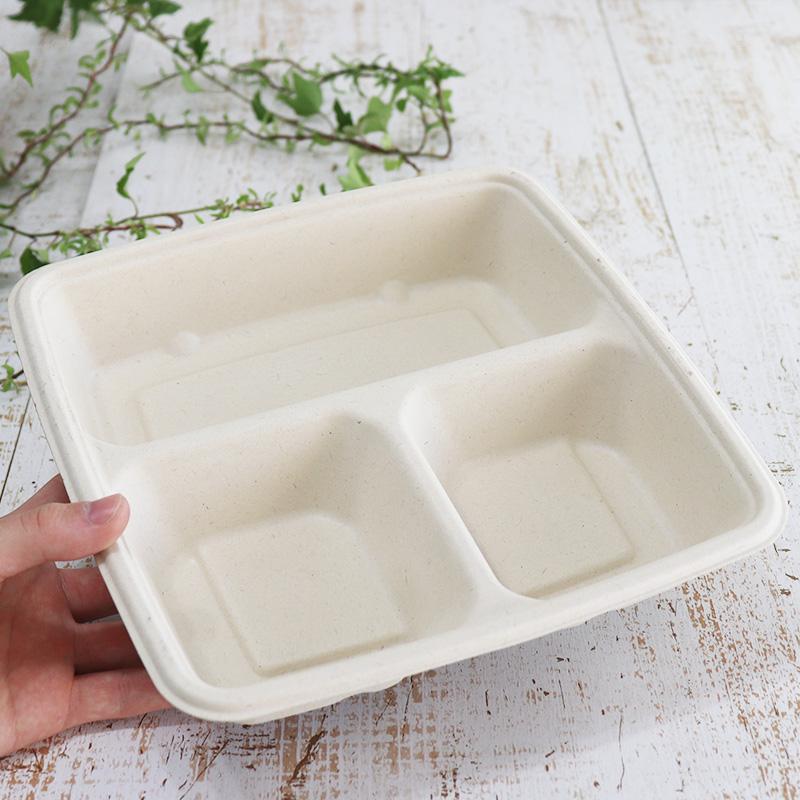 バガス 再生紙製容器 三区切りパルプトレイ 22.6cm角 （230ｍｌ×2+440ｍｌ） 226×226×44 300個セット （サトウキビの搾りカスから再生）業務用 大容量の画像