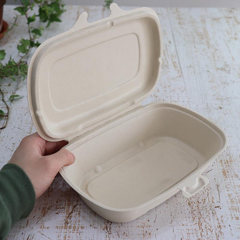 バガス 再生紙製容器 パルプヒンジコンテナ L （680ｍｌ）226×166×52 300個セット （サトウキビの搾りカスから再生）業務用 大容量の画像