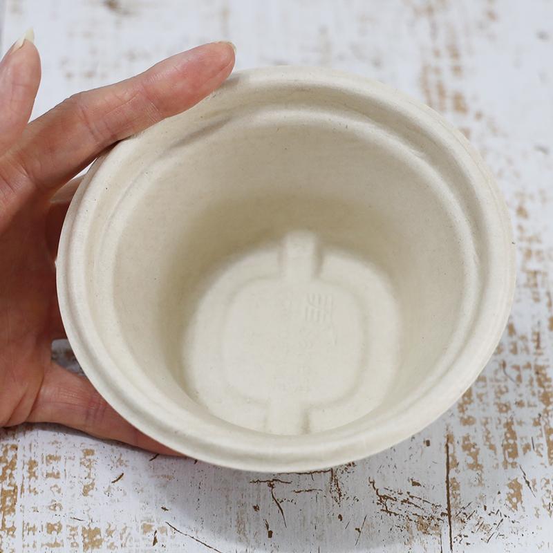 sabert バガス 再生紙製容器 SBT-8oz パルプモールドスープカップ 1000個セット（サトウキビの搾りカスから再生）業務用 大容量の画像