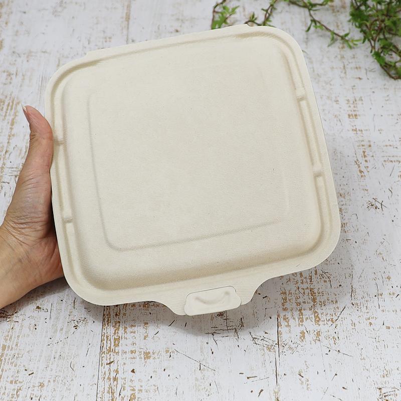 バガス 再生紙製容器 SBT-パルプヒンジコンテナSQ 3区切り 750ｍｌ 蓋付き 300個セット（サトウキビの搾りカスから再生）業務用 大容量の画像