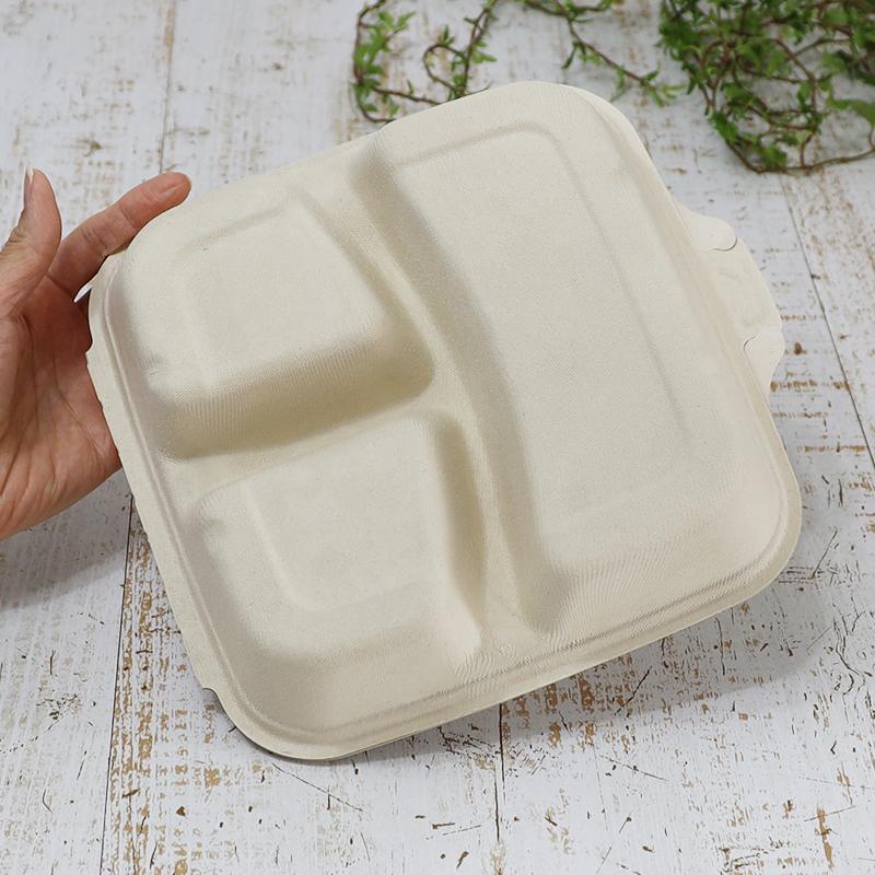バガス 再生紙製容器 SBT-パルプヒンジコンテナSQ 3区切り 750ｍｌ 蓋付き 300個セット（サトウキビの搾りカスから再生）業務用 大容量の画像