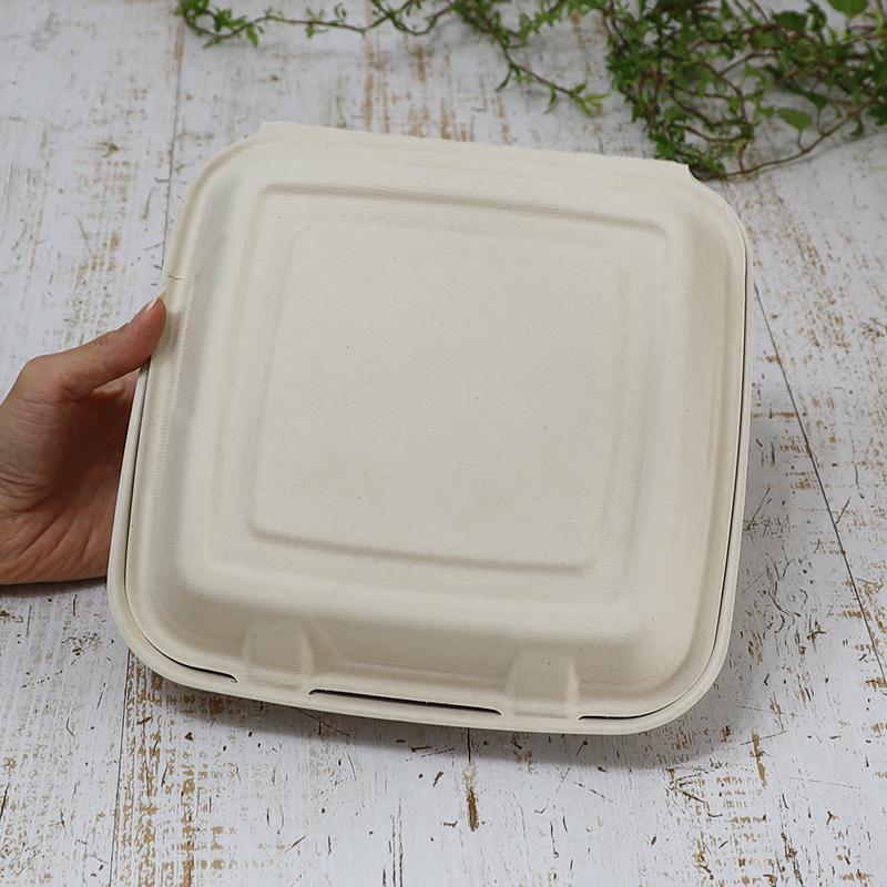 sabert バガス 再生紙製容器 SBT-クラムシェルパルプ容器 9インチ 蓋