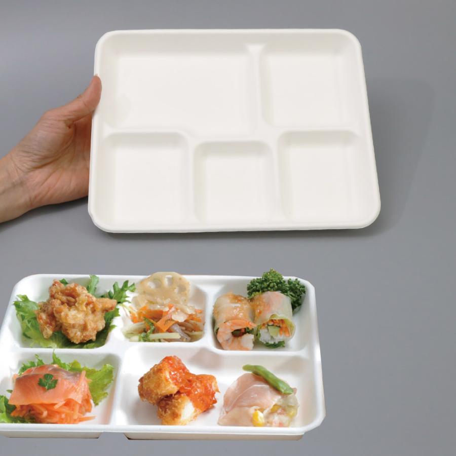 バガス 再生紙製容器 SBT パルプモールド ビュッフェトレイ 小（白