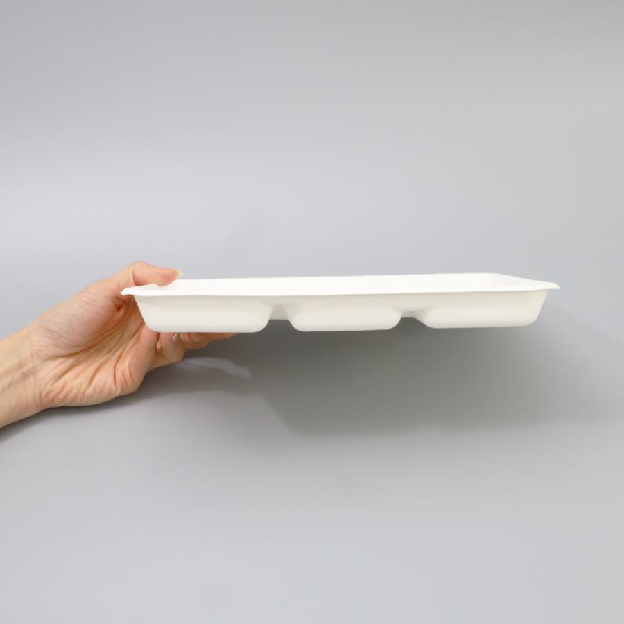バガス 再生紙製容器 SBT パルプモールド ビュッフェトレイ 小（白