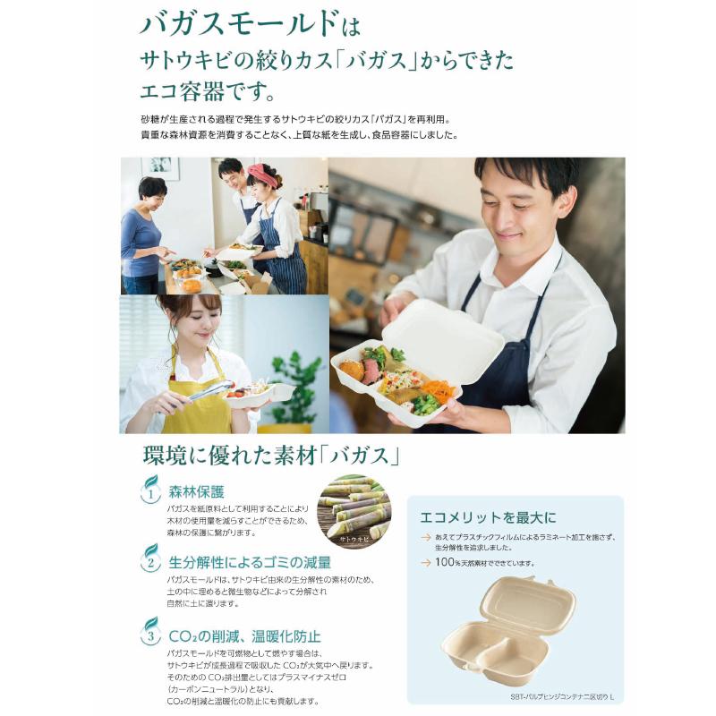 バガス 再生紙製容器 SBT パルプモールド ビュッフェトレイ 小（白