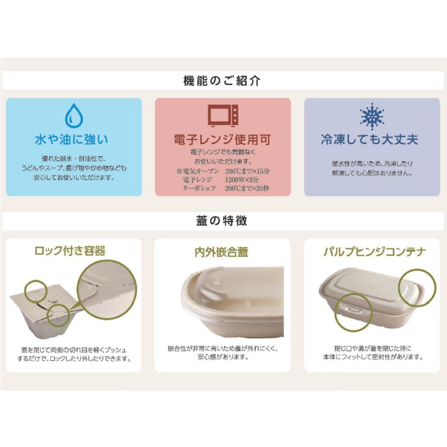 バガス 再生紙製容器 SBT パルプモールド ビュッフェトレイ 小（白