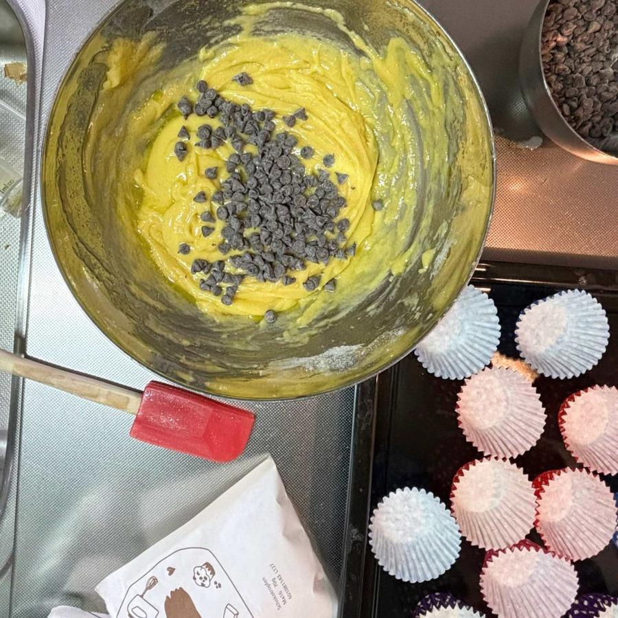 手作り お菓子 キット Dr.Oetker ミニチョコチップ マフィン 24個分