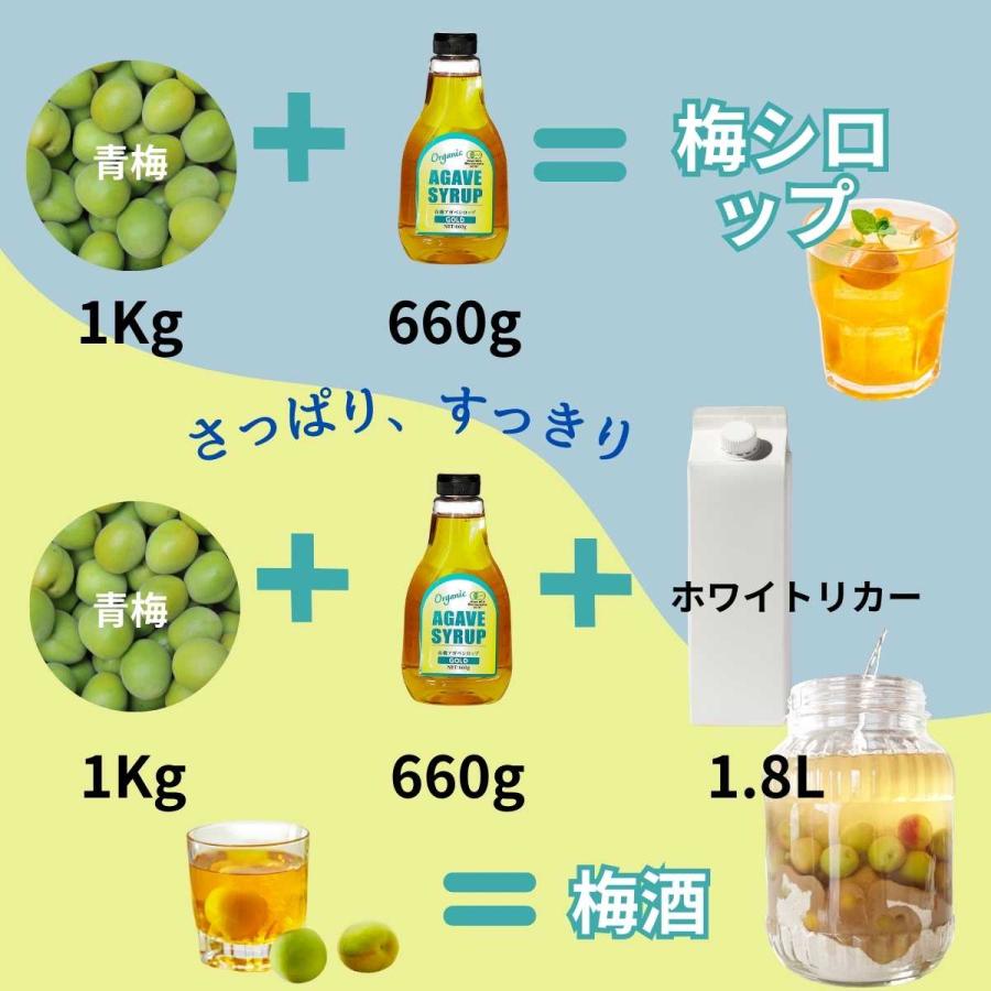 アガベシロップ オーガニック 有機 有機アガベシロップゴールド 660g