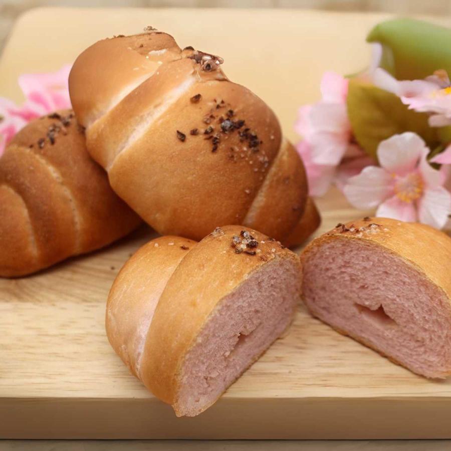 業務用 桜パウダー 500g Wサクラパウダー（国産）赤ビート使用 山眞