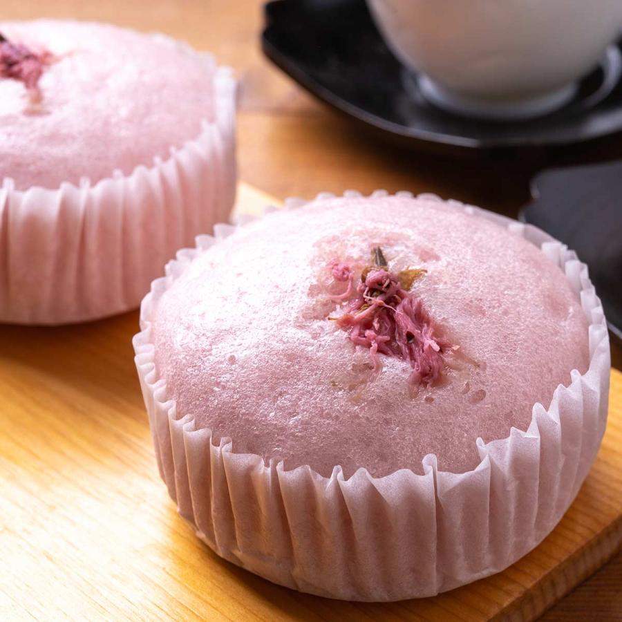業務用 桜パウダー 500g Wサクラパウダー（国産）赤ビート使用 山眞