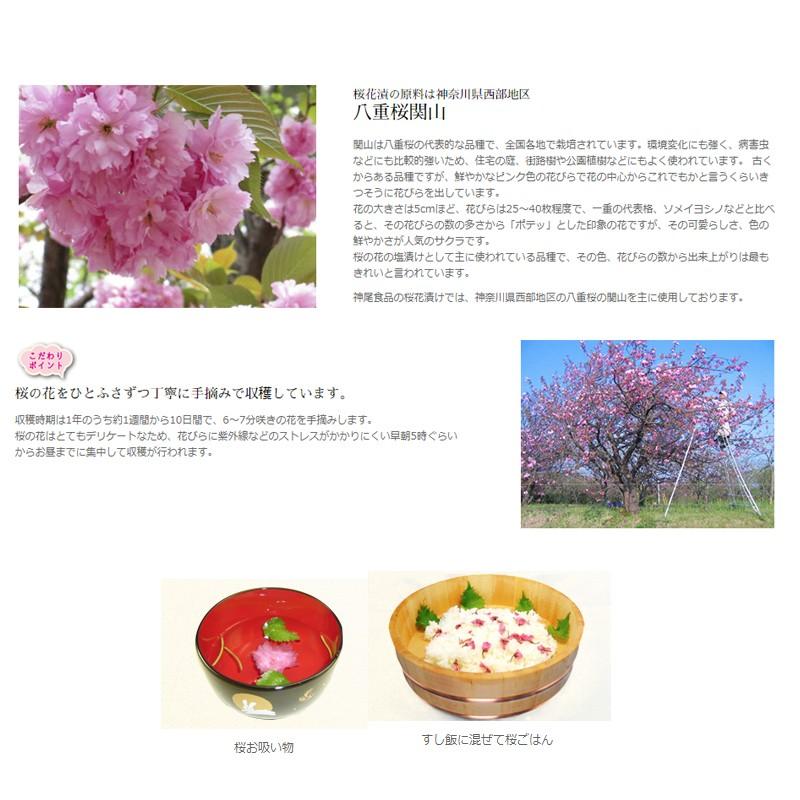 さくらの花 塩漬け 10ｋｇ 桜花 塩漬 10kg 1kg 10 ピンク 桜 桜の花 さくら 塩漬け 塩づけ 業務用 大容量 ウルトラミックス ヤフー店 通販 Yahoo ショッピング