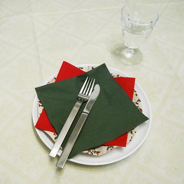 SCHON+ （シェーンプラス）テーブルクロス シャンパン 不織布 紙製