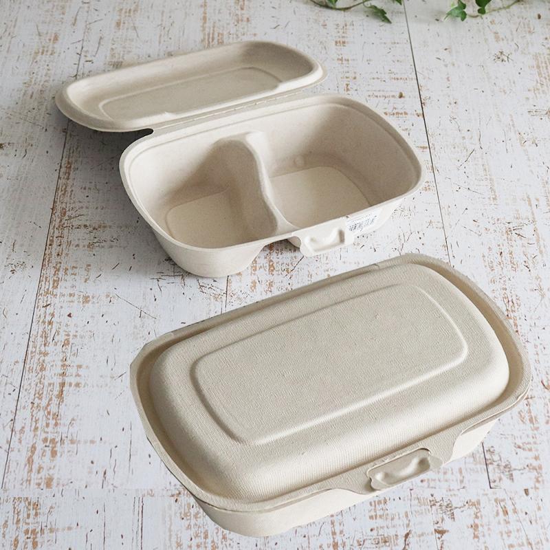 美しい Sabert バガス 再生紙製容器 レクタングル 長方形 パルプコンテナ 約900ｍｌ 蓋つき 300個セット 在庫一掃 Www Mahlouleh Lanacanal Tv