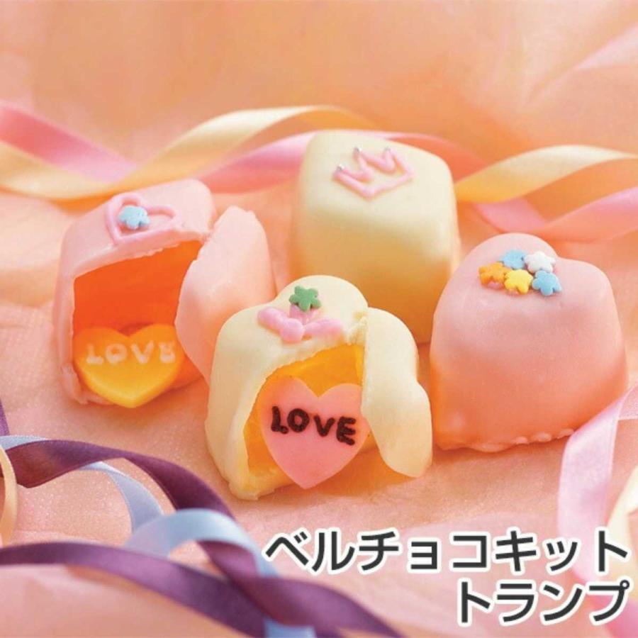 タイガークラウン チョコレート型 チョコ型 ベルチョコキット チョコ