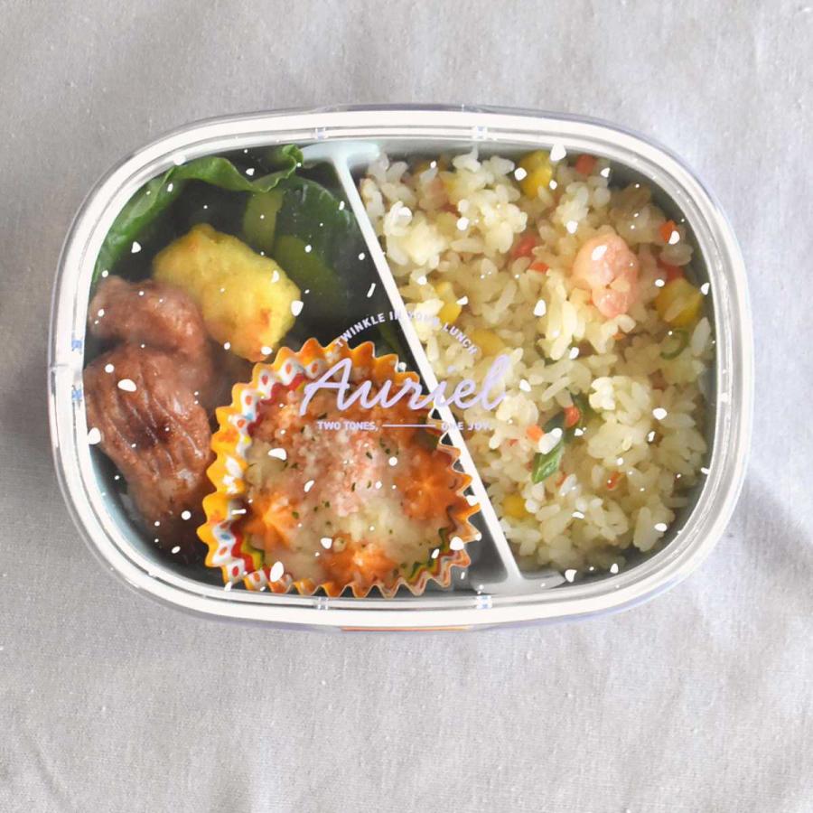 サブヒロモリ 弁当箱 1段 600ml 女子 大人 おしゃれ レンジ対応