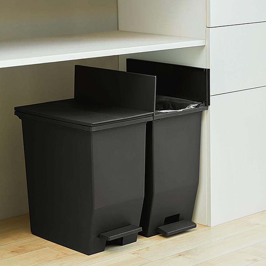 東谷 ゴミ箱 ダストボックス ペダルオープンツイン20L ブラック 黒 20