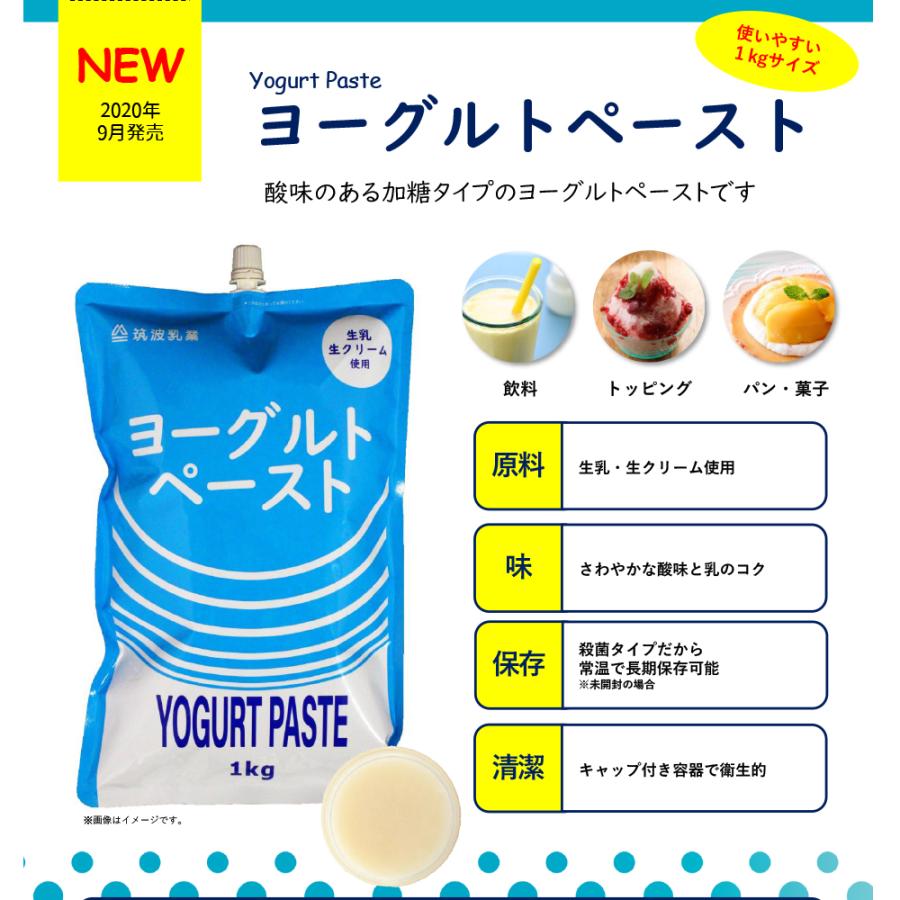 筑波乳業 ツクバ ヨーグルトペースト 1kg ×12個 ヨーグルト 生乳