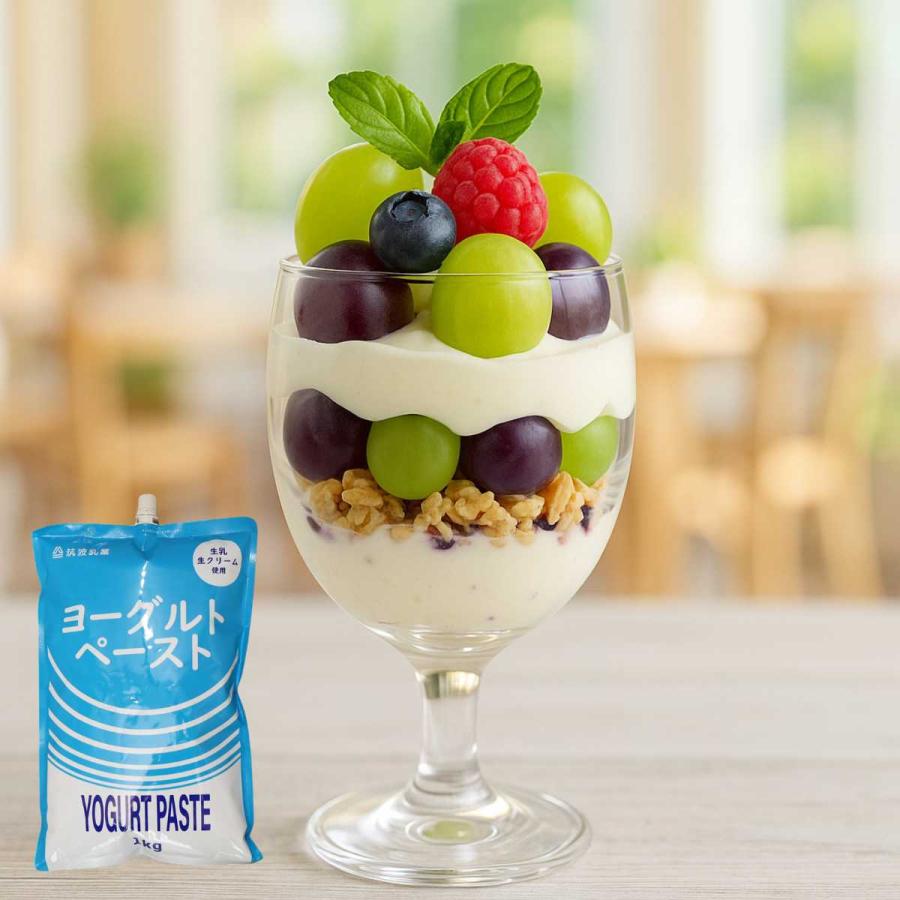 筑波乳業 ツクバ ヨーグルトペースト 1kg ×12個 ヨーグルト ヨーグルト