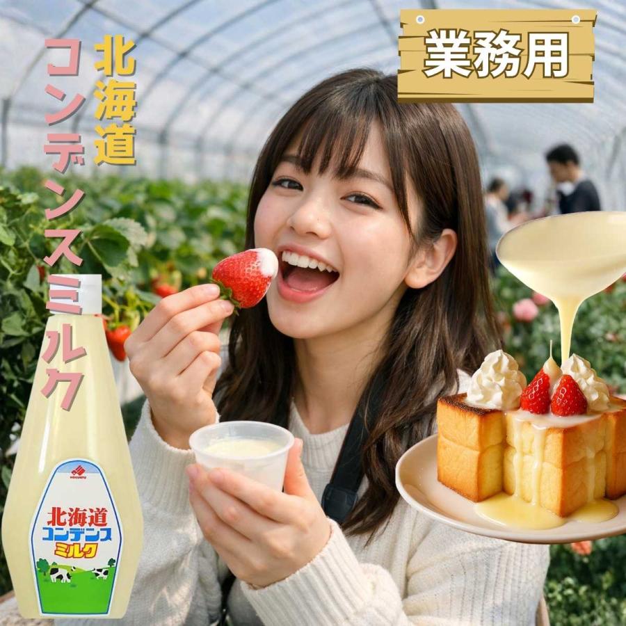 北海道乳業 練乳 業務用 北海道 コンデンスミルク 1kg 練乳 コンデンス