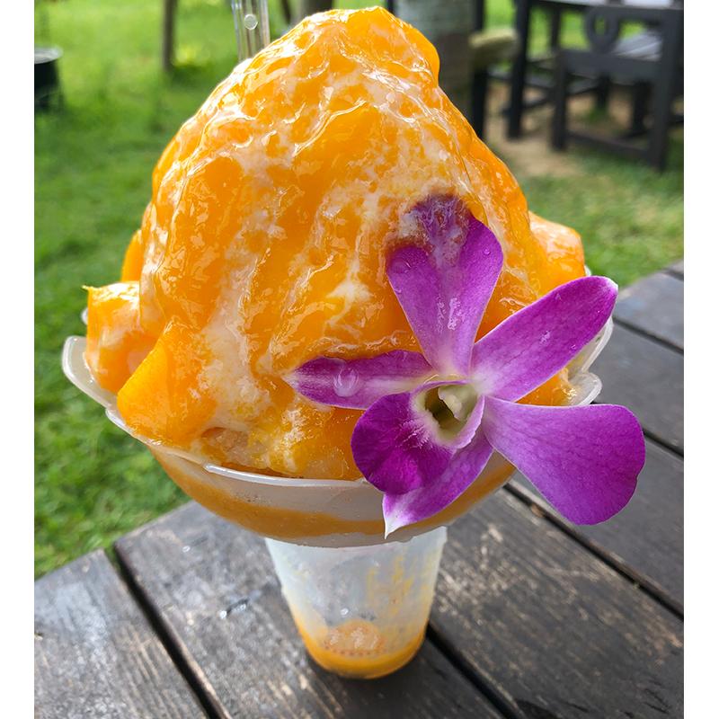 野田ハニー かき氷 シロップ 業務用 国際 輸出基準 準拠品 MIYAZAKI