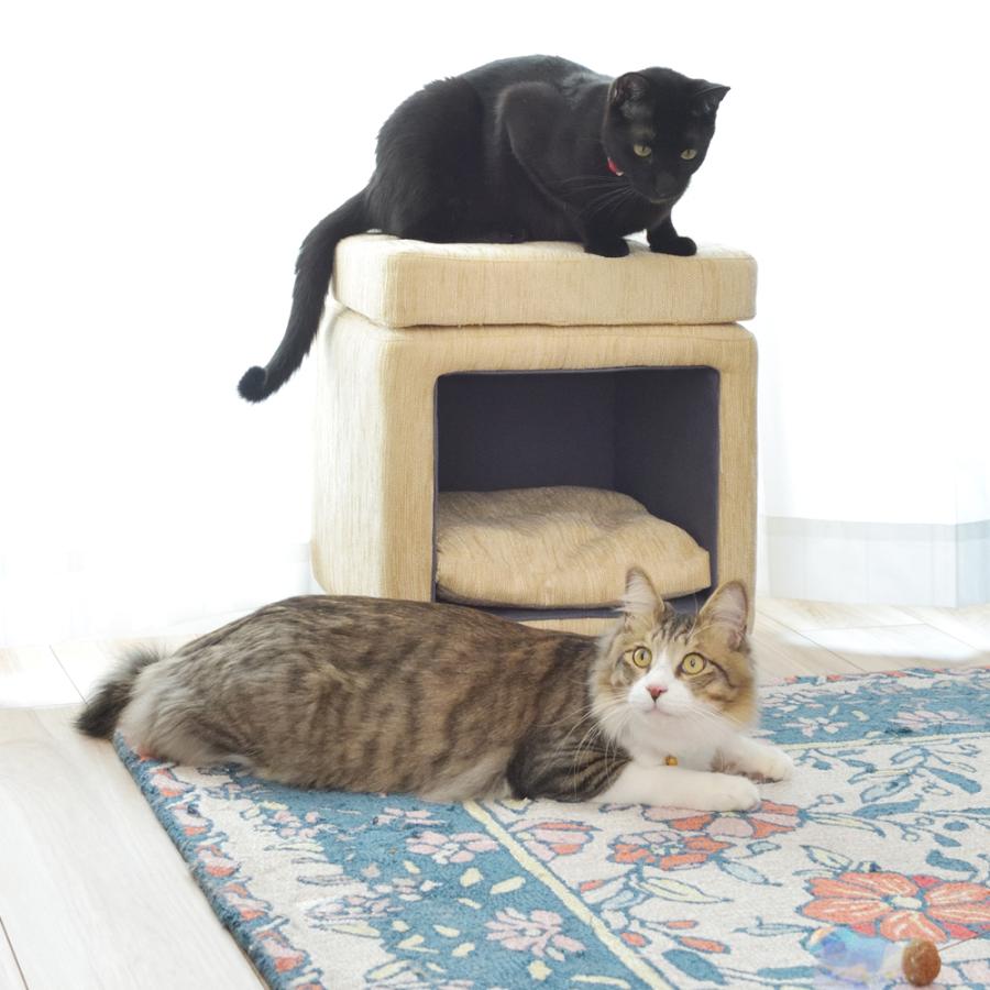 東谷 スツール型ペットハウス 猫 ハウス キャットハウス ペット