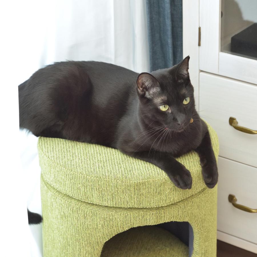 東谷 スツール型ペットハウス 猫 ハウス キャットハウス ペット