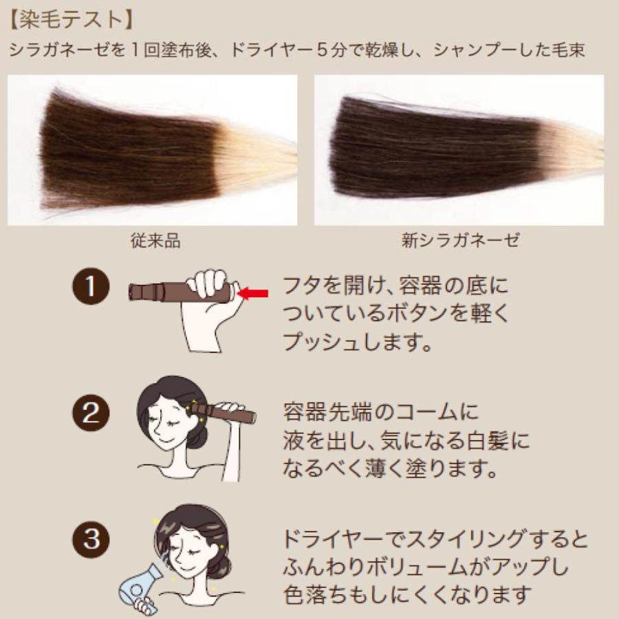 シラガネーゼ ポイントリッチカラーEX ダークブラウン ポイント