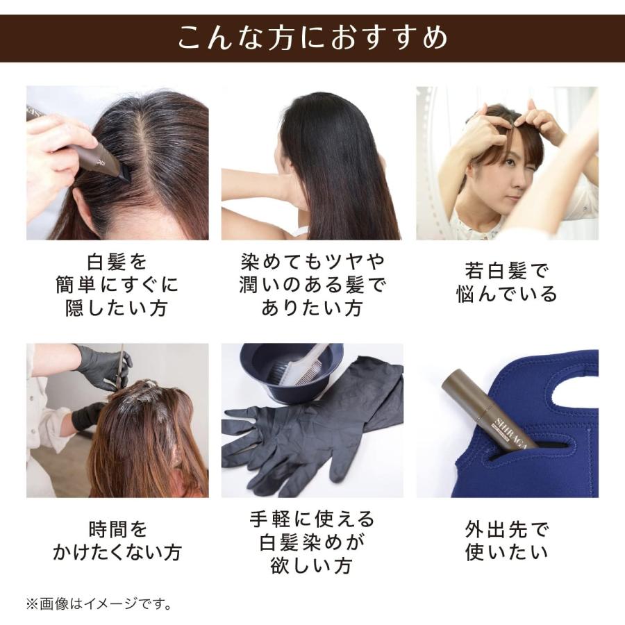 シラガネーゼ ポイントリッチカラーEX ナチュラルブラック ポイント