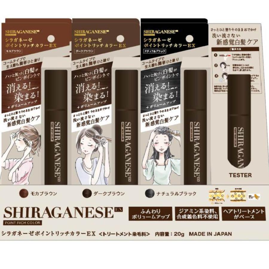 シラガネーゼ ポイントリッチカラーEX ナチュラルブラック ポイント
