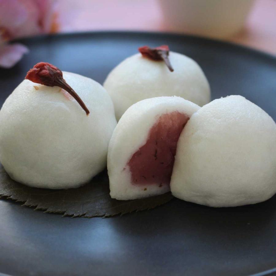 桜あん（桜葉を散らした桜白あん） 500g さくら サクラ 餡 あん