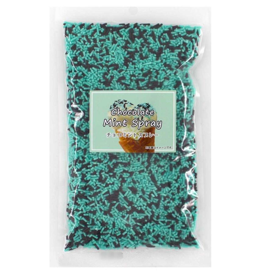 チョコミント フライヤー 20セット チョコミント フライヤー 20セット チョコミント フライヤー 20