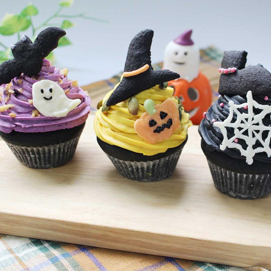 チョコペン カラー 5色チョコペン（速乾タイプ）5本セット ブラック