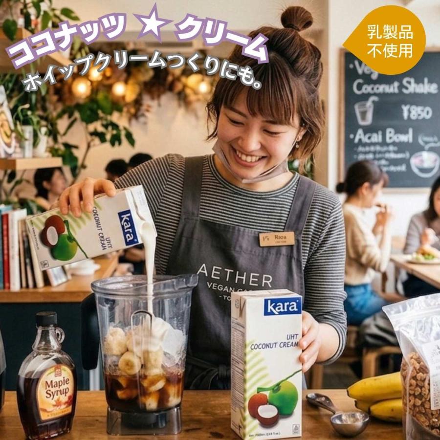 ココナッツクリーム ココナッツミルク 業務用 1000ml 1L Kara カラ UHT