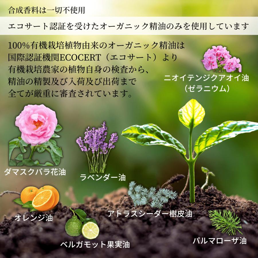 【2090円⇒620円】保湿クリーム 顔 デリケートゾーン 医薬部外品 薬用 ウルラホワイトニングセラム 30ｇ 保湿 乾燥対策 黒ずみ対策 オーガニック |  | 05