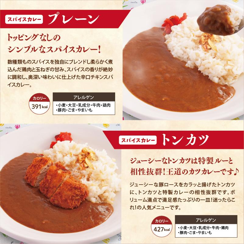 冷凍弁当 スパイスカレー 4食セットA 冷凍食品 カレーセット 美味しい