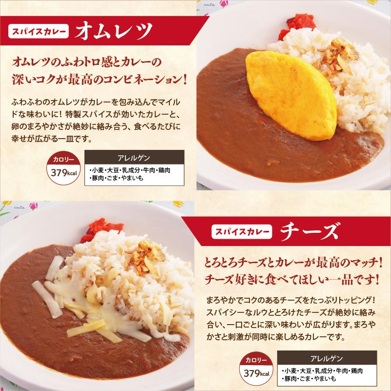 冷凍弁当 スパイスカレー 4食セットA 冷凍食品 カレーセット 美味しい
