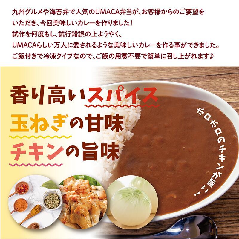 冷凍弁当 スパイスカレー 4食セットA 冷凍食品 カレーセット 美味しい
