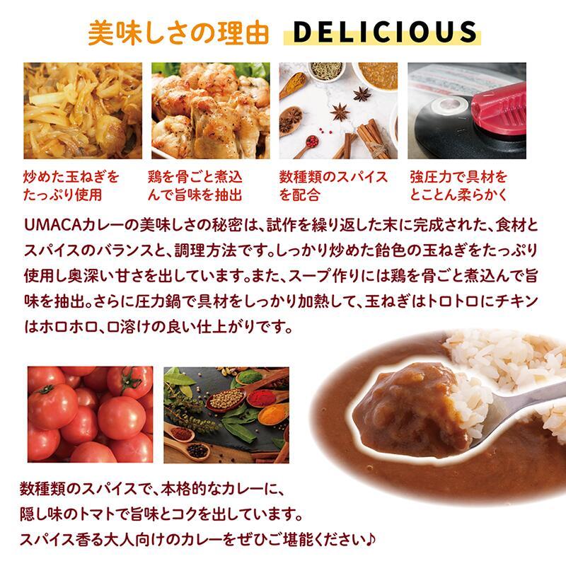 冷凍弁当 スパイスカレー 4食セットA 冷凍食品 カレーセット 美味しい