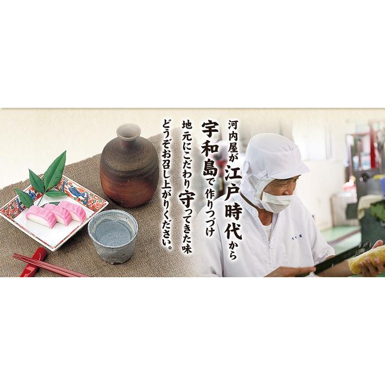 宇和島かまぼこ 特選 1本 河内屋蒲鉾 愛媛県宇和島市 伝統の味 伝統工芸士 昔ながらの造り方 肴 アテ つまみ 郷土の味 冷蔵 Kawachiya 5 うまい うわじま 通販 Yahoo ショッピング
