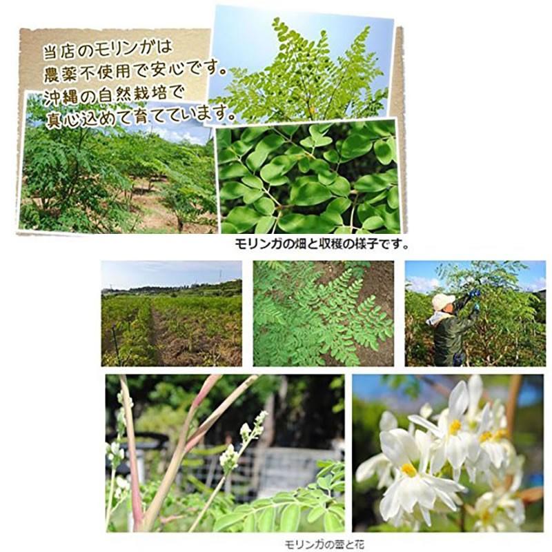 琉球新美 沖縄産 モリンガ粉 60ｇ 1袋 アクアグリーン沖縄 モリンガ 粉 オーガニック サプリ 健康 自然食品 送料無料 Agon Rsmgk 0060 Nm 001 旨いもんハンター 通販 Yahoo ショッピング