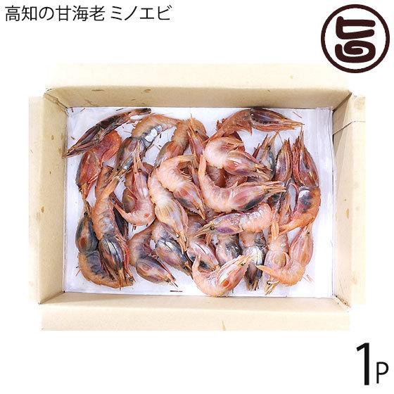 85 以上節約 高知の甘海老 ミノエビ 500g 1p 御畳瀬漁港 水揚げ 稀少 刺身用 バラ凍結 一部地域追加送料あり Quran Unv Edu Sd