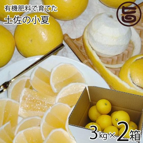 有機肥料で育てた 土佐の小夏 3kg×2箱 家庭用 青山農園 日向夏