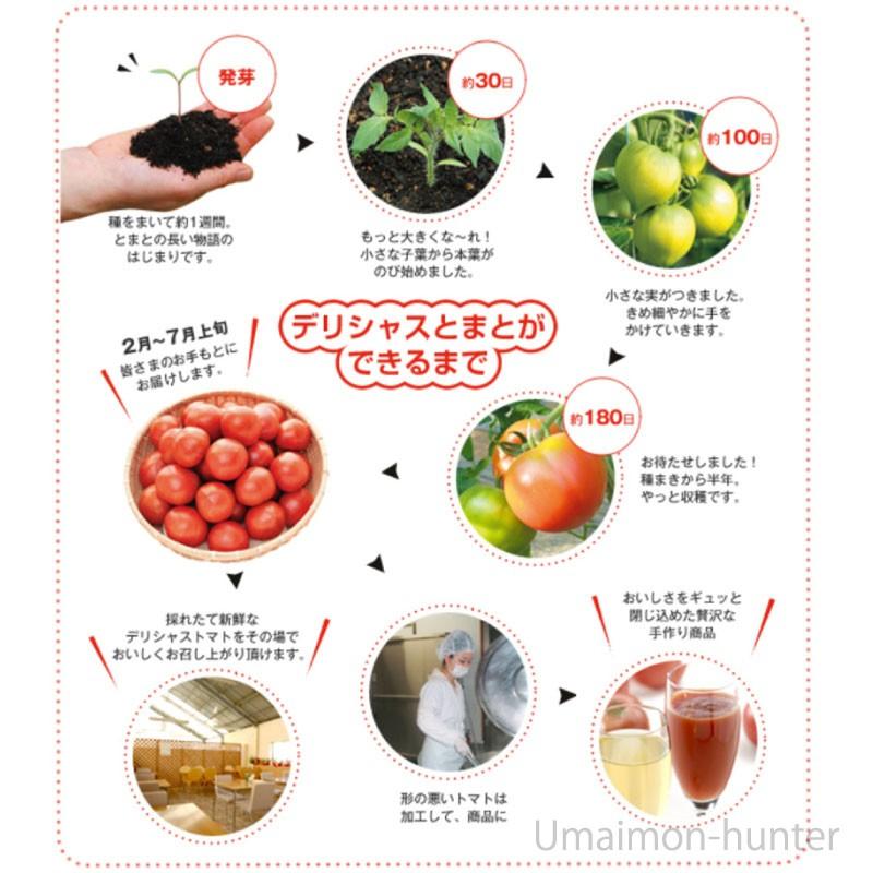ギフト 化粧箱入り トマトジュレ紅白6個セット×1箱 デリシャスファーム