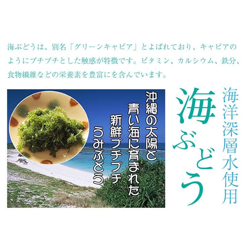 海ぶどう 1g 3箱 グローアップコーポレーションf 海洋深層水使用 海藻 蔵 うみぶどう 土産 人気 送料無料 定番 沖縄
