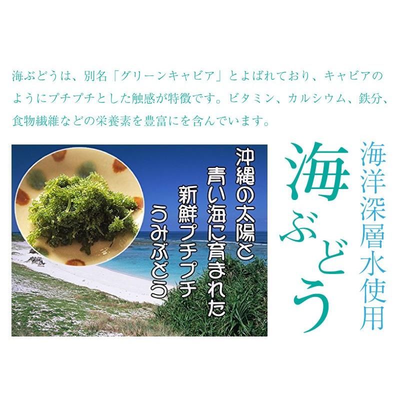 海ぶどう 100g×9箱 グローアップコーポレーションF 海洋深層水